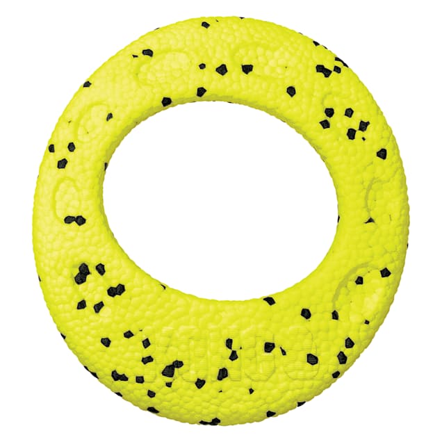 Petco clearance kong frisbee