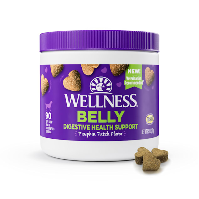 Wellness Pumpkin Patch Flavored Soft Chew Digestive Health Supplements for Dogs 90 Count