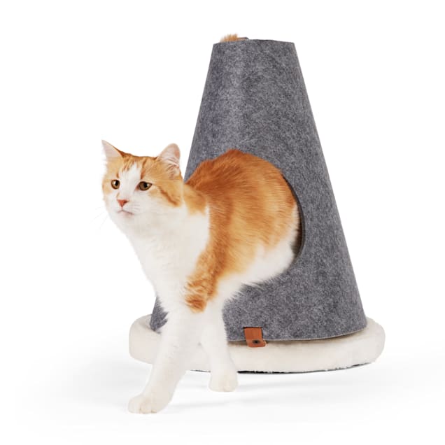 Wiski cat cone top uk