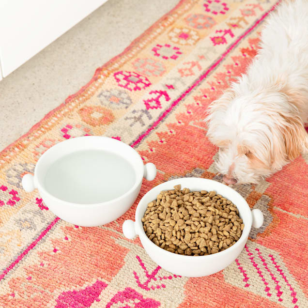 Waggo 2025 dog food