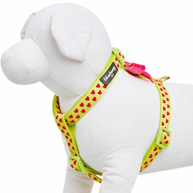 Velvet Step in Harness for Toy Dogs, Puppies or Cats