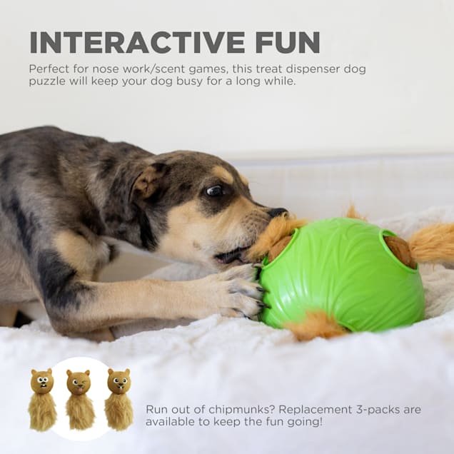 Outward Hound Snuffle N' Treat Interactive Puzzle Ball & Treat Dispenser  Dog Toy, Medium