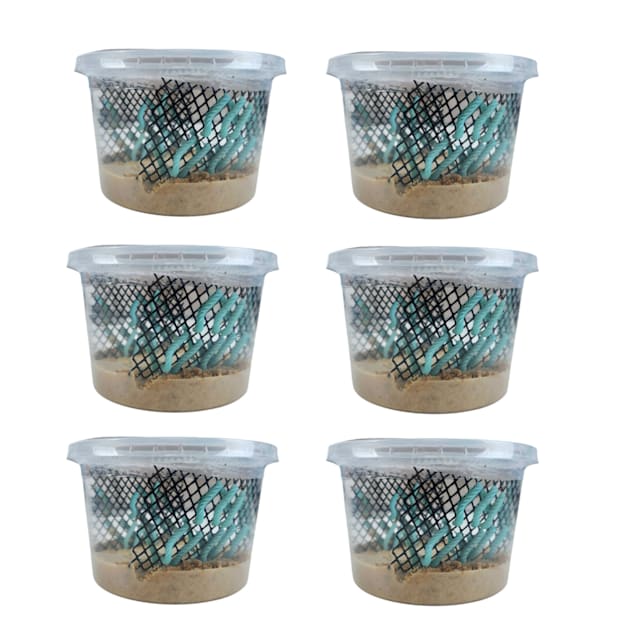 Hornworms Habitat Cup - 25 Count Cup, 6 pack - Carousel image #1