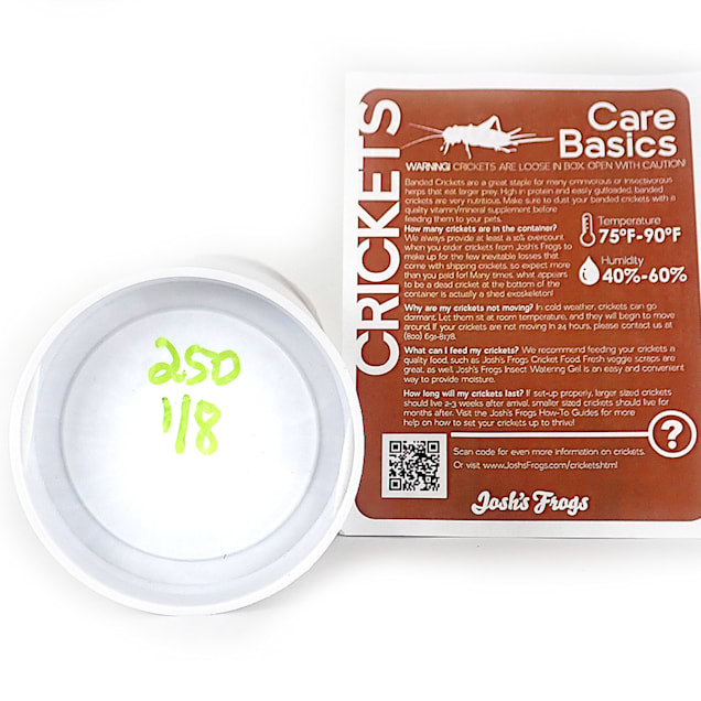 Banded Crickets 1/8", 250 Count Petco