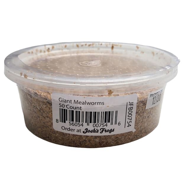 Live mealworms petco shop