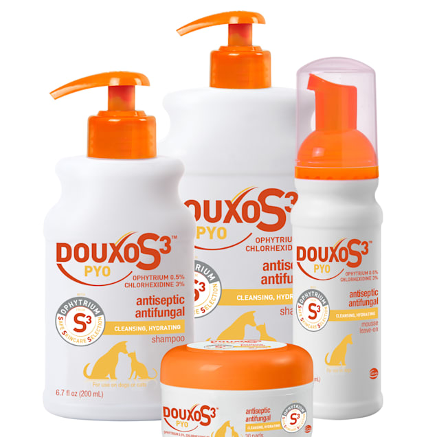 Douxo chlorhexidine hotsell shampoo petco