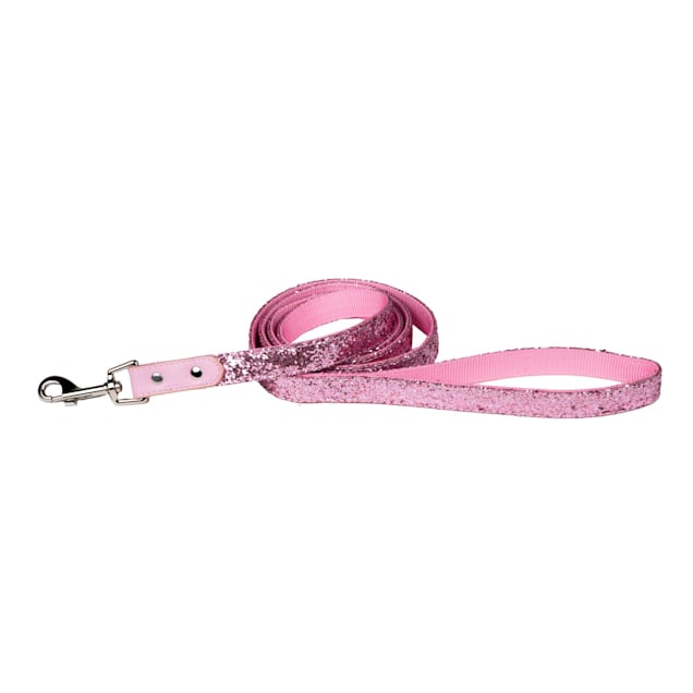 Pretty dog leashes top