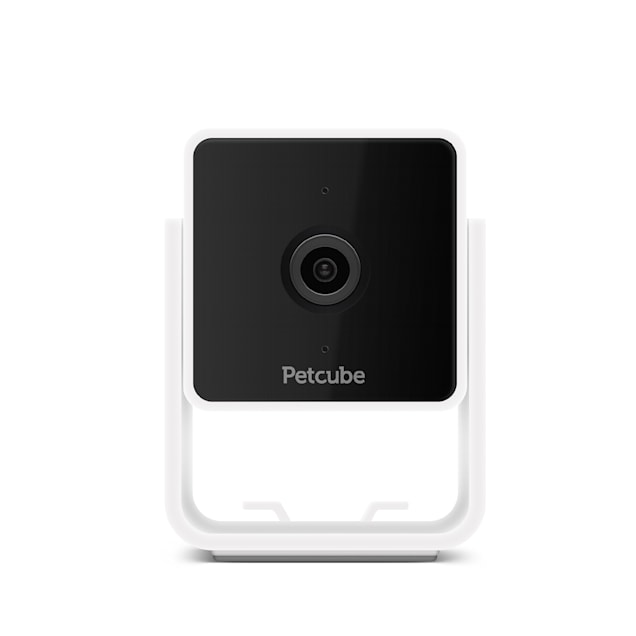 Petco dog camera online