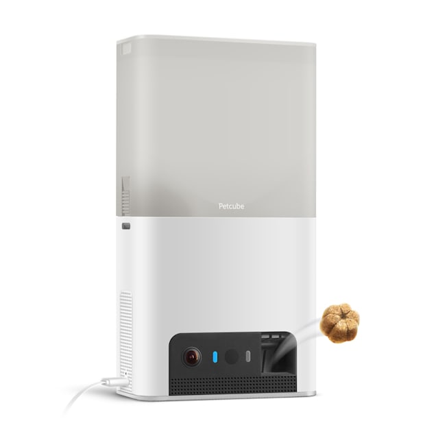 Wifi treat dispenser outlet