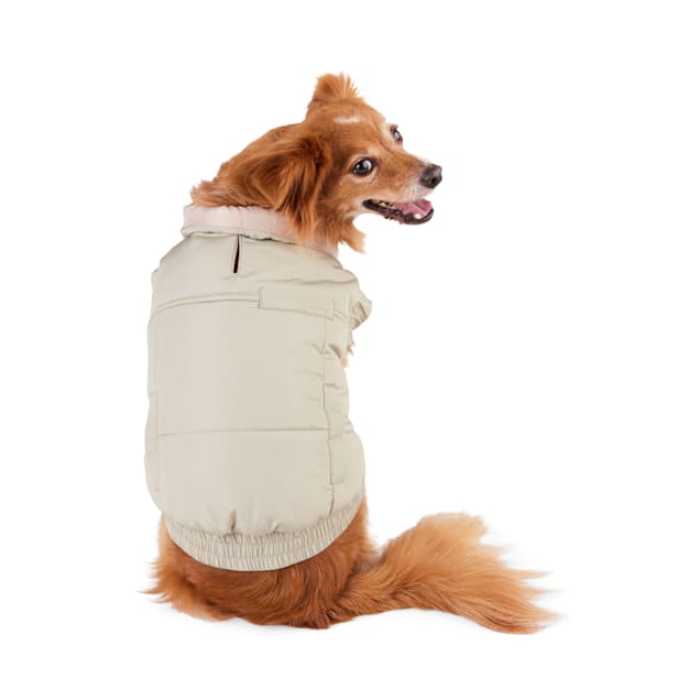 Reddy dog puffer jacket deals