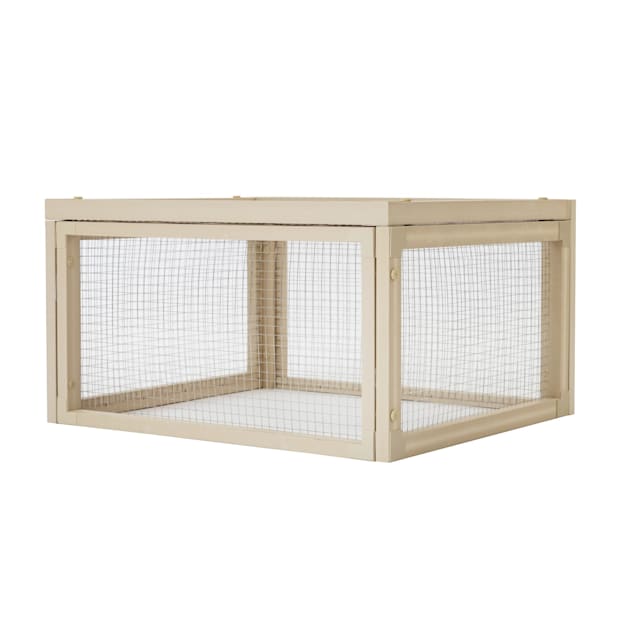 Petco tortoise house clearance