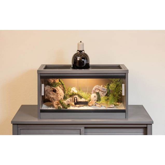 Petco terrarium sale online