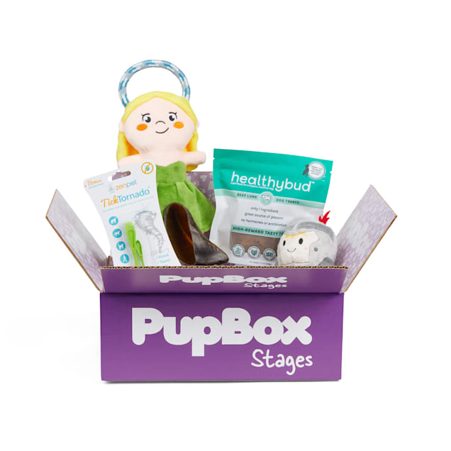 PupBox Medieval Box for Dogs Small Petco