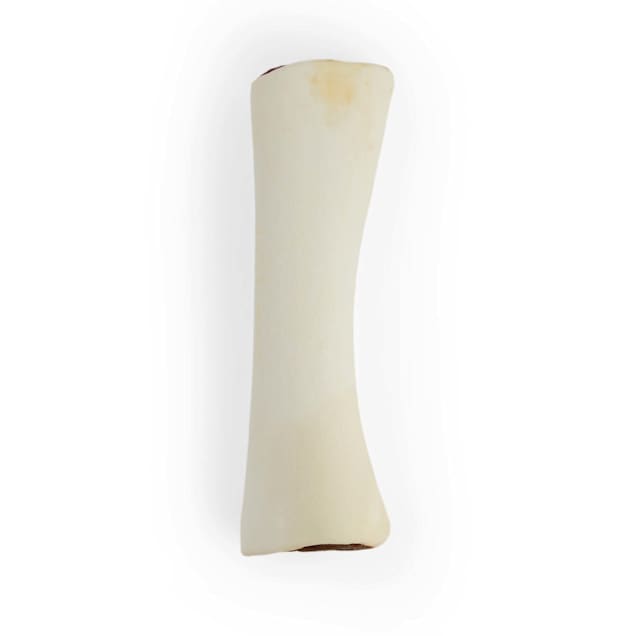 Hollow online dog bone