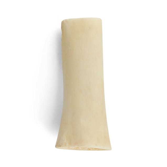 Good Lovin Refillable Chew Bone for Dogs 7 oz from Petco