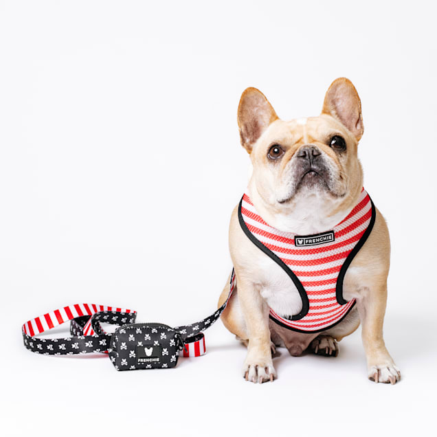 Frenchie duo cheap reversible harness