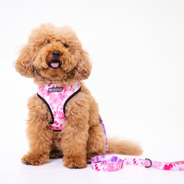 Tie dye poodle discount