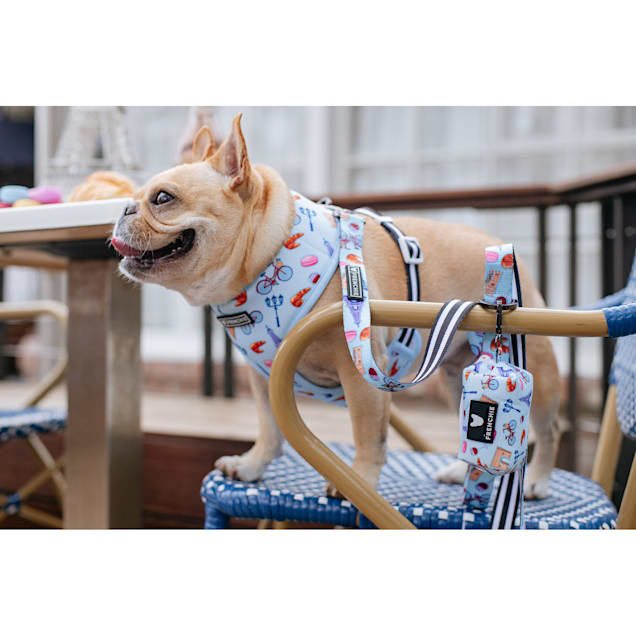 Spirit Paws Frenchie Duo Reversible Harness