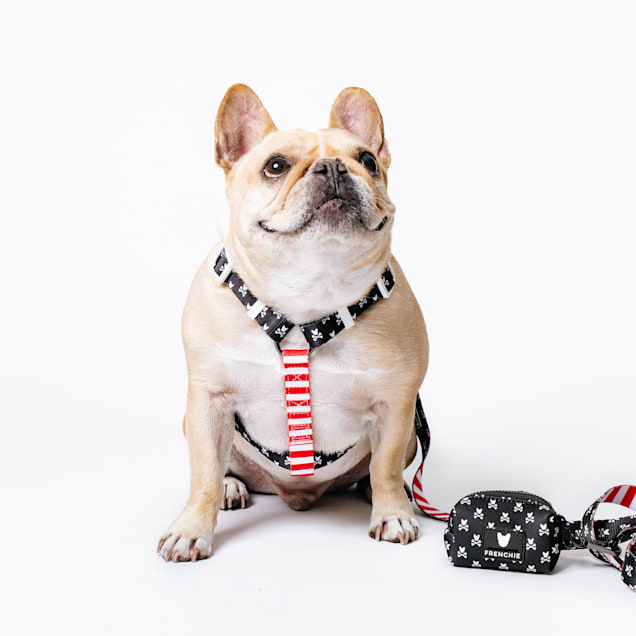 Frenchie Shop : French Bulldog Harnesses, Clothes, Apparel & more