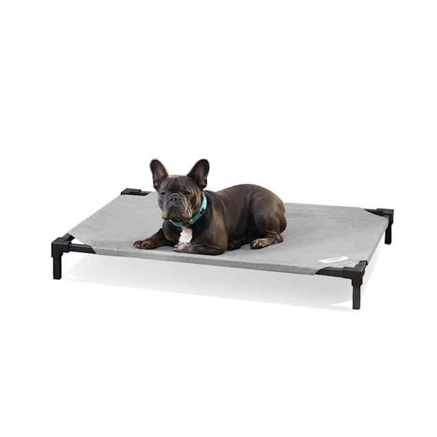 Elevated pet bed near me sale