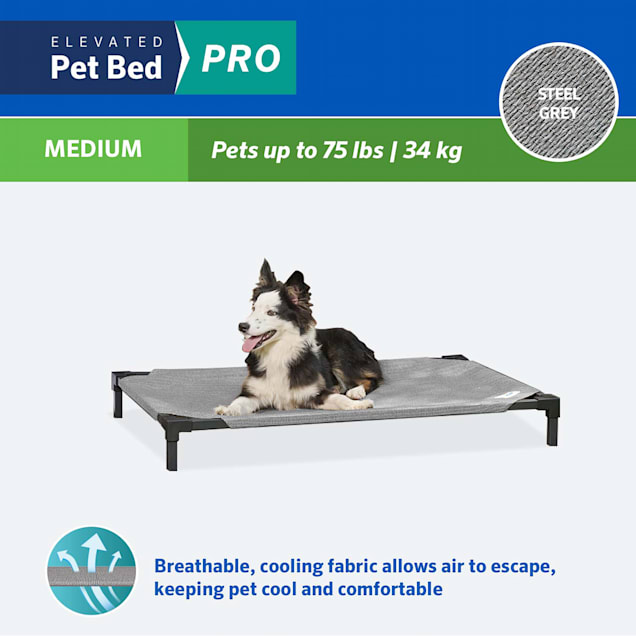 Coolaroo Elevated Pro Pet Beds 41 L X 27.5 W X 6.3 H Steel Petco