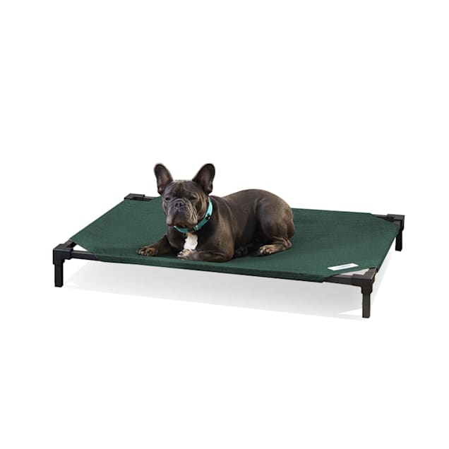 Elevated pet bed store