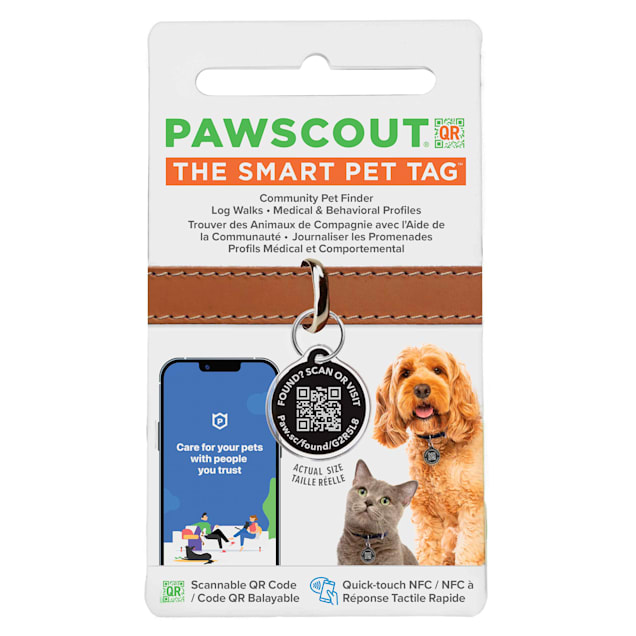 Dog name tags clearance petco