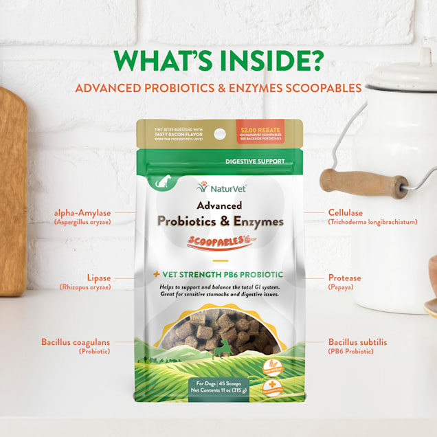 Naturvet advanced probiotics and enzymes on sale