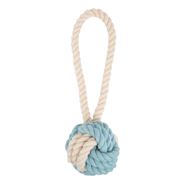 Small dog deals rope toy