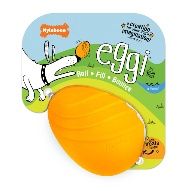 Nylabone Orange Creative Play EGGI Interactive Dog Toys, Small Petco