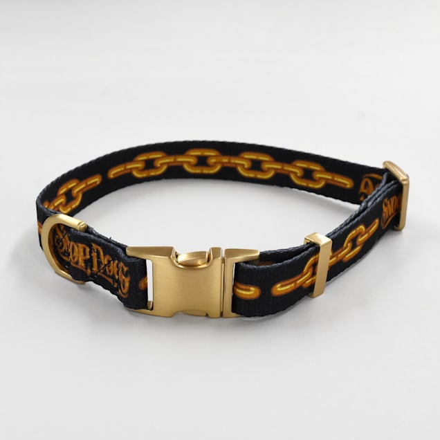 Bark collar petco cheap