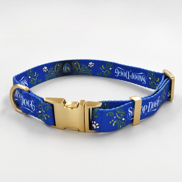 Petco sales kong collar