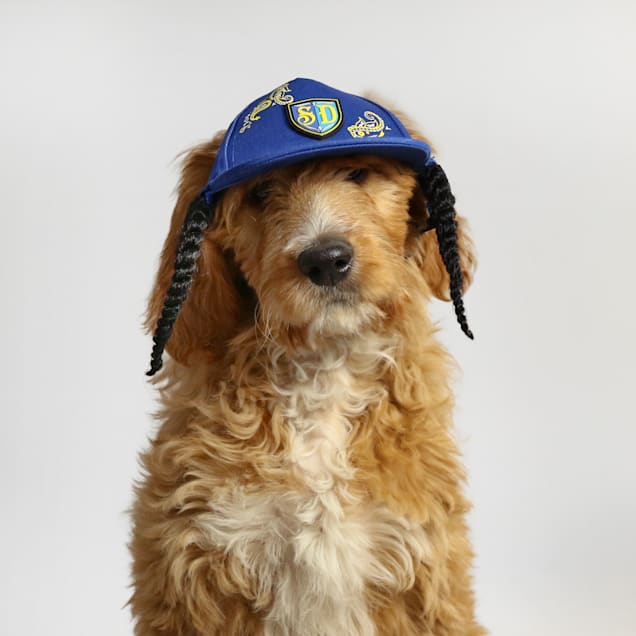 Dog hats petco outlet