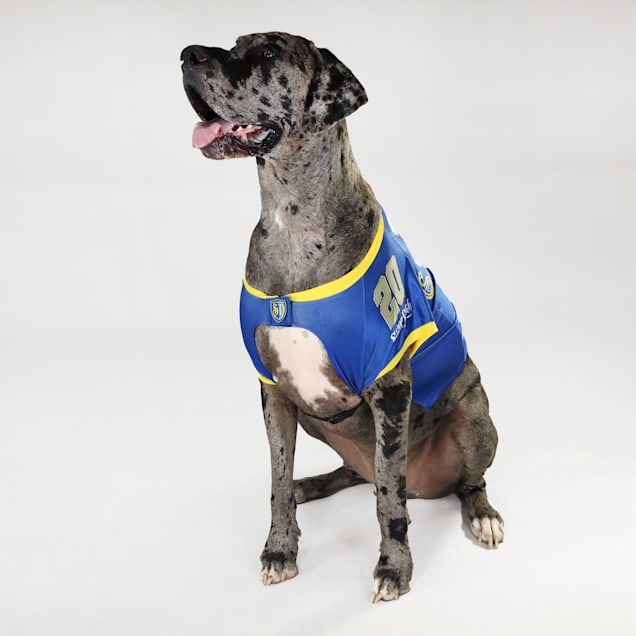 Snoop Doggie Doggs Blue Halftime Deluxe Pet Jersey XX Large Petco