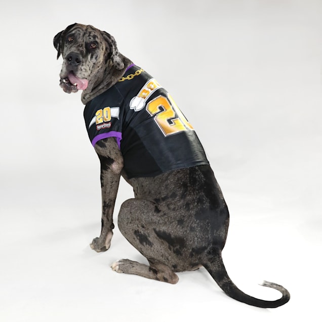 Snoop Doggie Doggs Black Off the Chain Deluxe Pet Jersey XX Large Petco