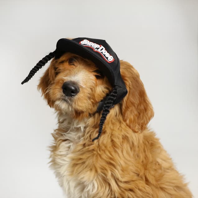 Snoop Doggie Doggs Black Classic Snoop Deluxe Pet Baseball Hat X