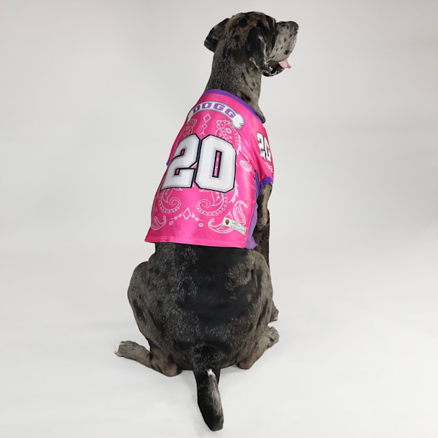 Snoop Doggie Doggs Pink Boss Lady Deluxe Pet Jersey XX Large