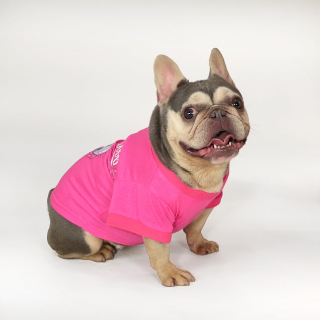 Pink dog logo shirt shop