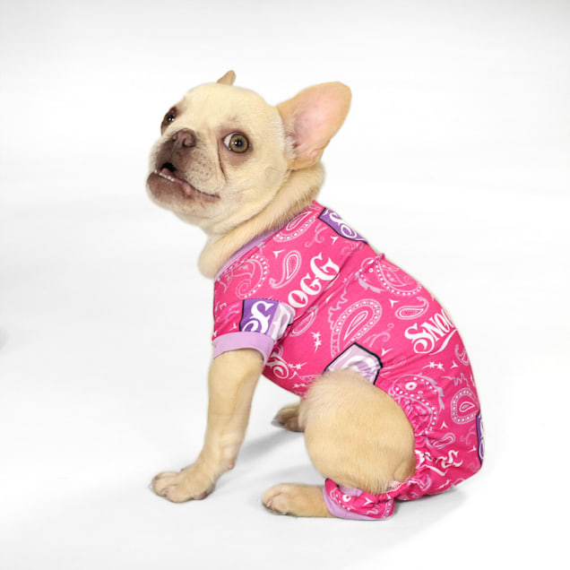 Petco clearance dog onesie