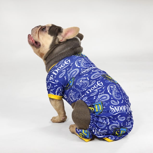 Petco clearance dog onesie