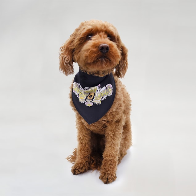 Petco dog deals bandana