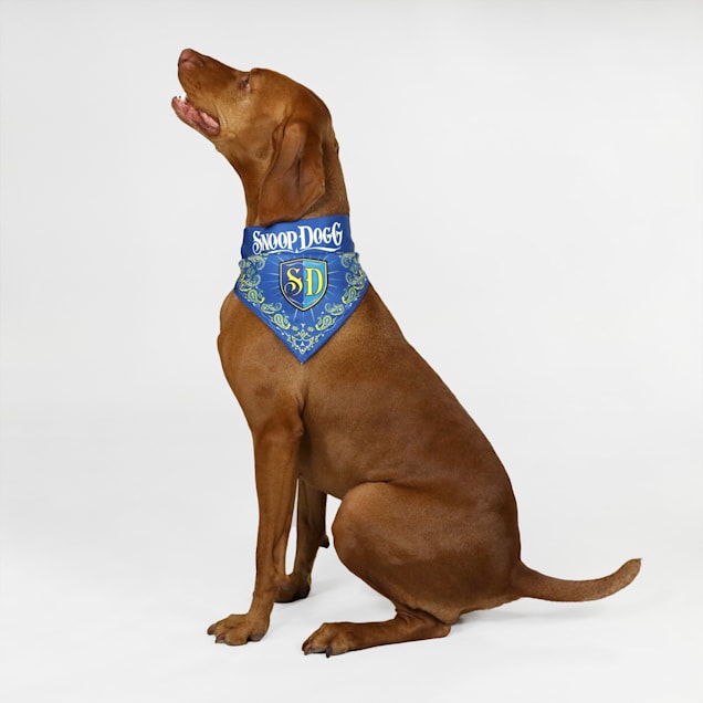 Adopt me clearance bandana petco