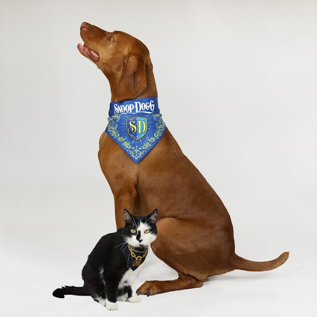 Snoop Doggie Doggs Blue Halftime Off the Chain Deluxe Pet Bandana X Small Set of 2 Petco