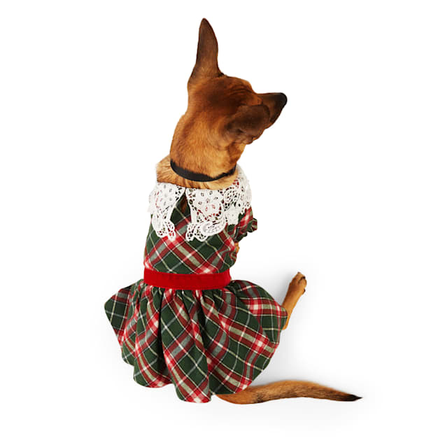 Tartan deals dog dress