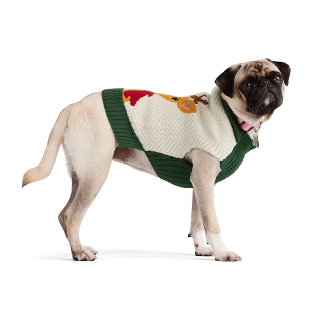 Petco christmas sweaters shop