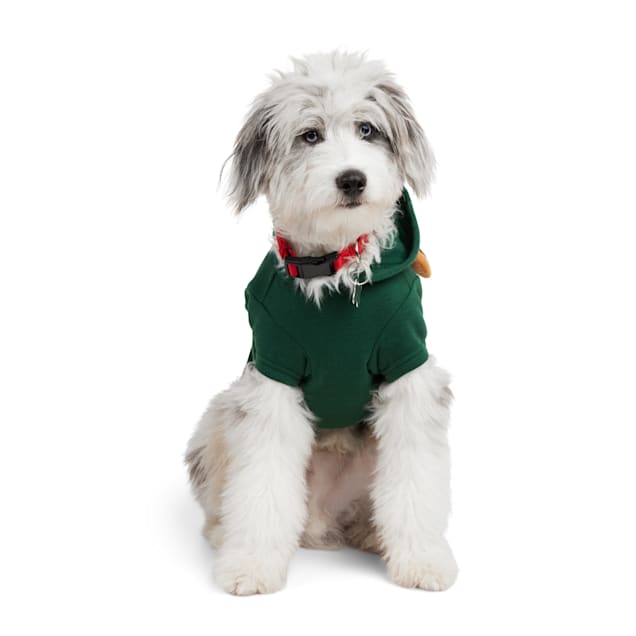 Green day checker outlet cat hoodie