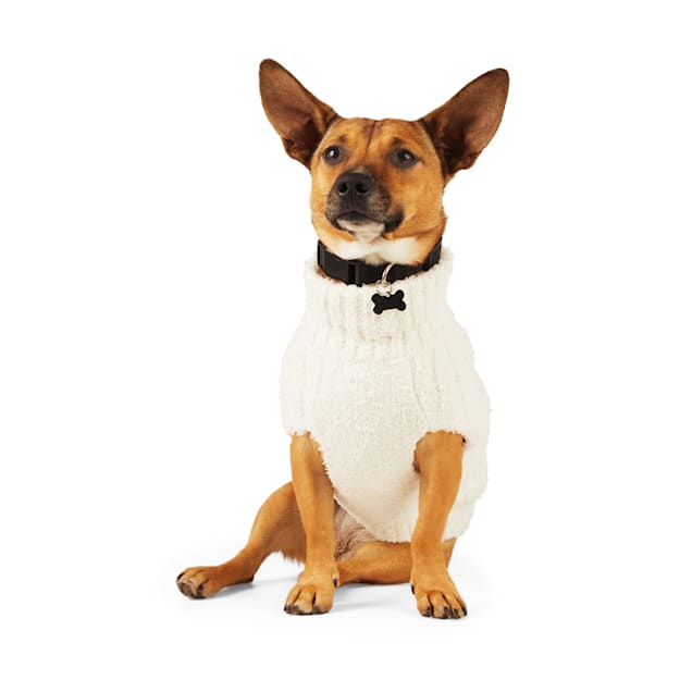 Petco dog sweaters store