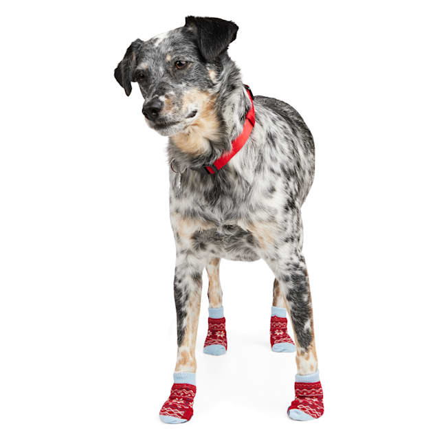 Merry Makings Santa Sock Set for Dogs Small Petco