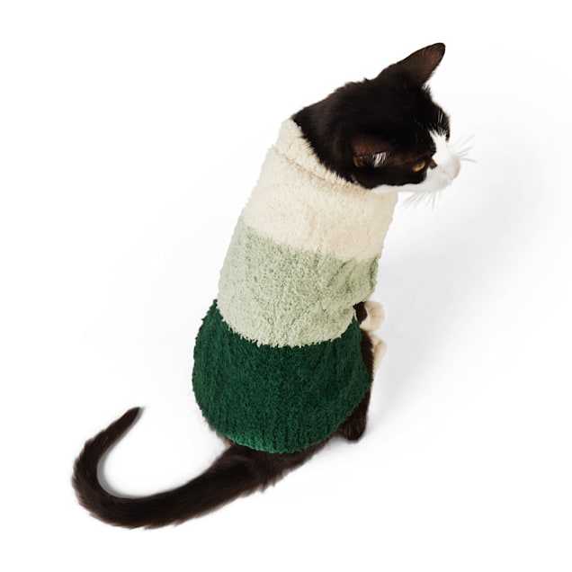 Petco best sale cat sweater