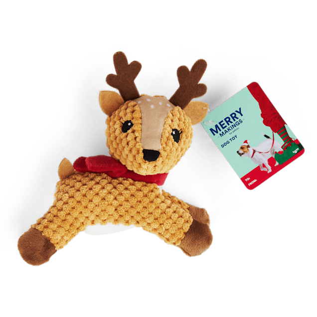 Merry Makings Plush Naughty Pickle Dog Toy, Large